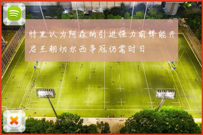 特里认为阿森纳引进强力前锋能开启王朝切尔西争冠仍需时日