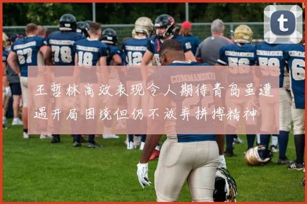 王哲林高效表现令人期待青岛虽遭遇开局困境但仍不放弃拼搏精神